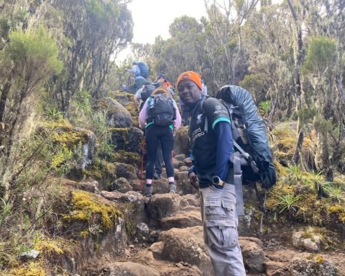 WhatsApp Image 2025-12-06 at 15.52.24