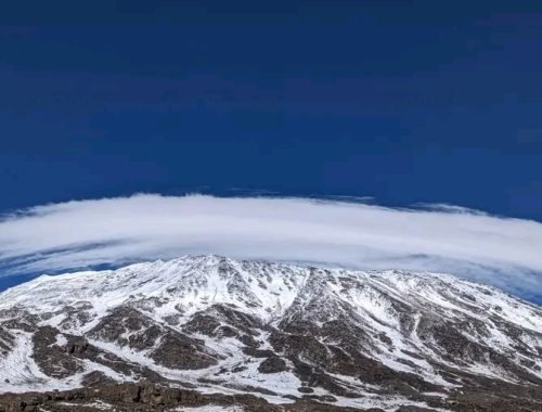 WhatsApp Image 2025-12-06 at 15.52.26