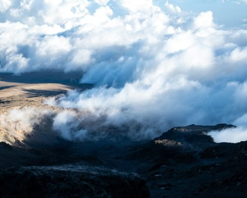 dennis-grasdijk-yomjCivOea4-unsplash